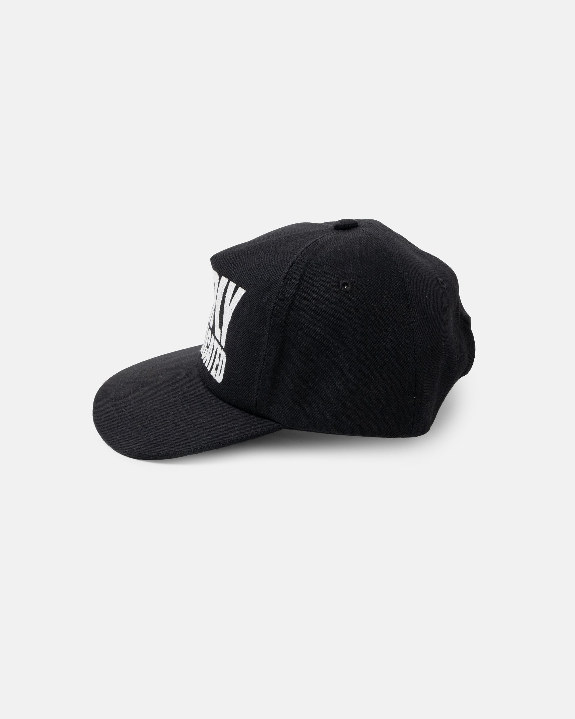 DIRECTOR 5 PANEL CAP